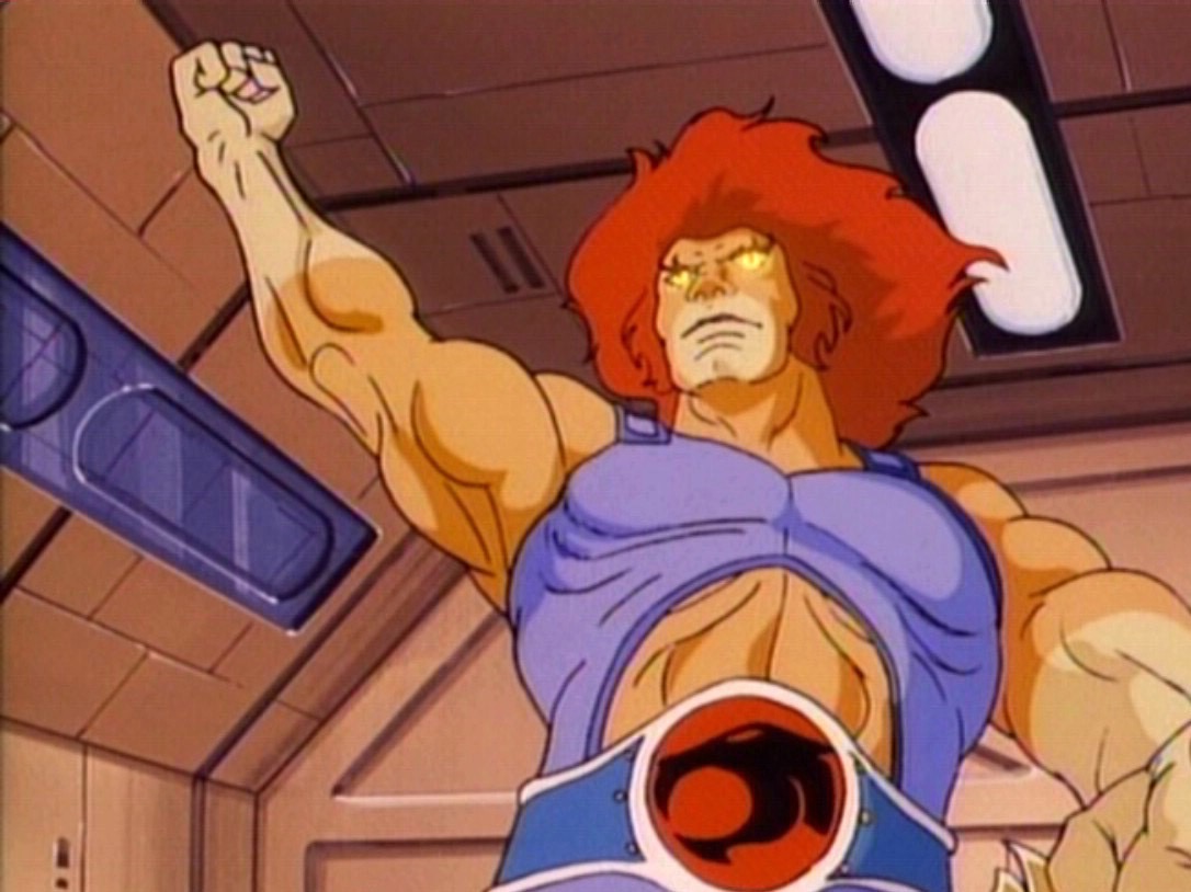 Lion-O reference image 4